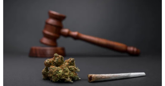 Understanding the Cannabis Administration and Opportunity Act: A Step Forward in Cannabis Legalization