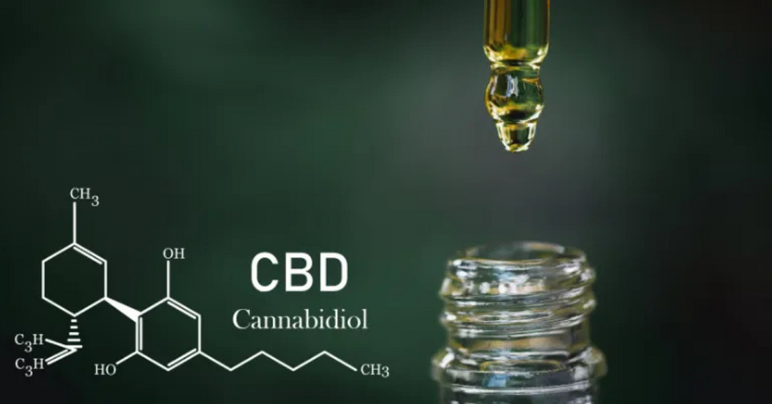 The Difference Between Delta 8 and CBD: What You Need to Know