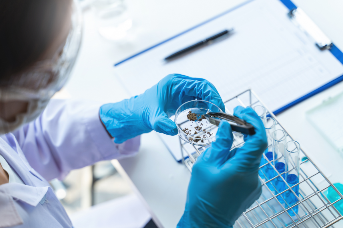 The Science Behind Delta 8 THC and Its Role in Modern Medicine